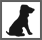 Animaux accept&eacute;s